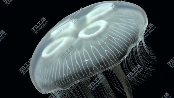 images/goods_img/20210312/jellyfish 3D model/2.jpg